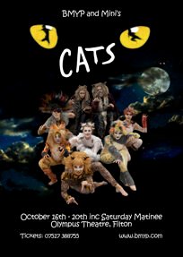 catsflyer